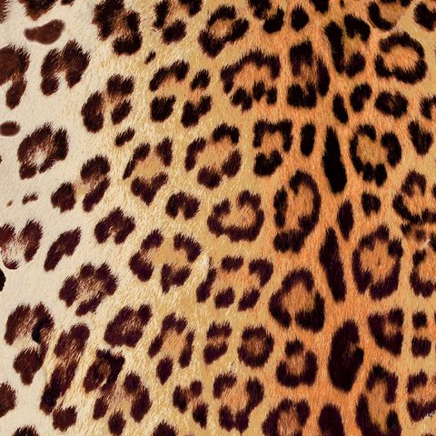 Leopard Summer Upholstery Fabric