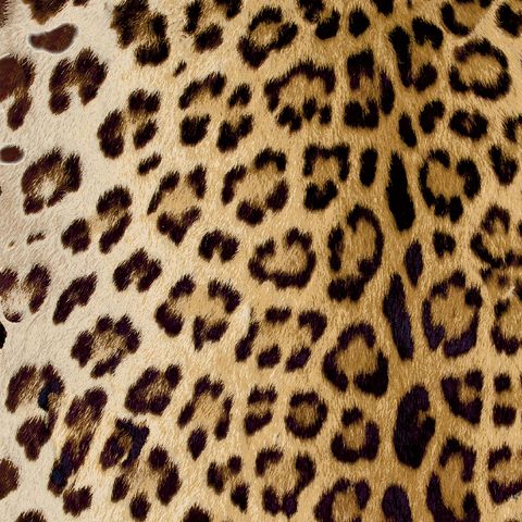 Leopard Golden Upholstery Fabric