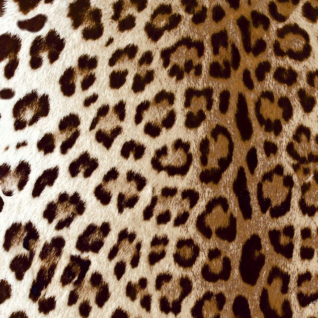 Arley House Safari Leopard Tan