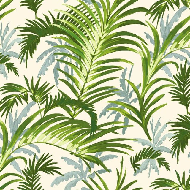 Arley House Surabaya Surabaya Lime