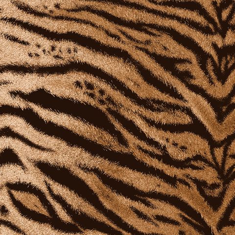 Tiger Classic Upholstery Fabric