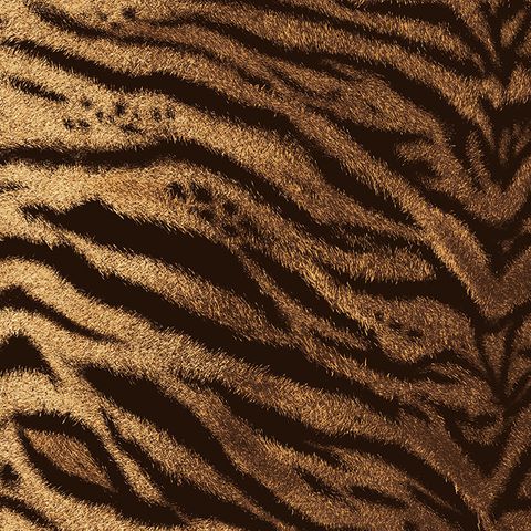 Tiger Caramel Fabric