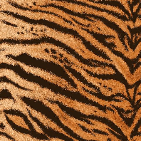 Tiger Savanna Upholstery Fabric