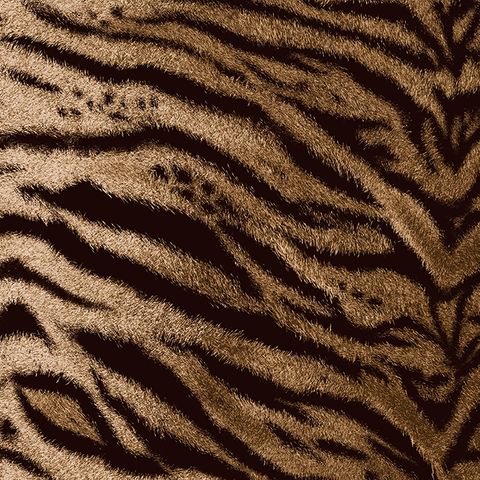 Tiger Nutmeg Upholstery Fabric