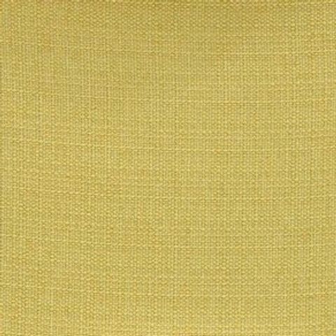 Belvedere Palm Voile Fabric