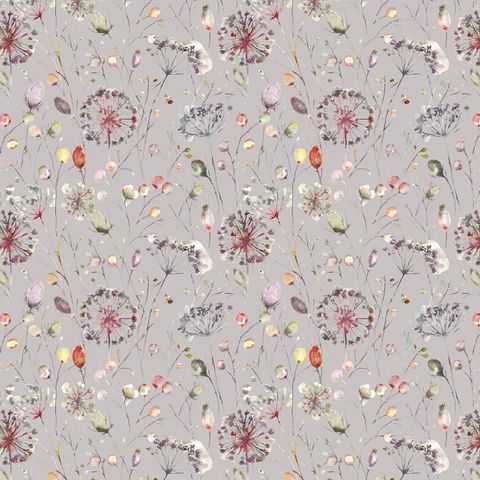 Boronia Boysenberry/Heather