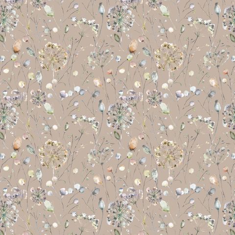 Boronia Coral/Cloud/Apricot