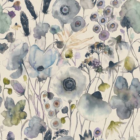 Hibbertia Crocus/Linen