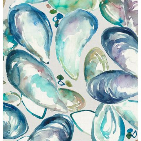 Mussel Shells Marine