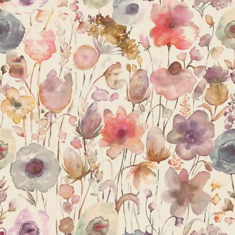 Gospiana Boysenberry