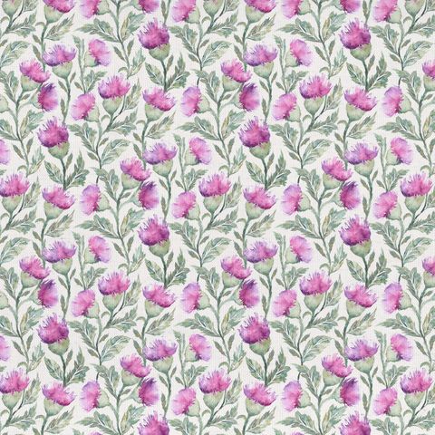 Hawick Fuchsia/Cream