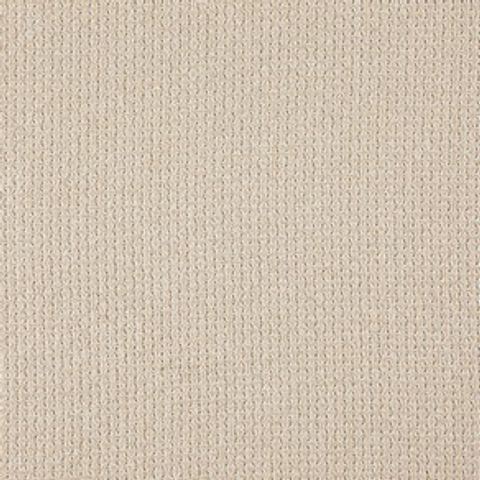 Caroni Oatmeal Voile Fabric