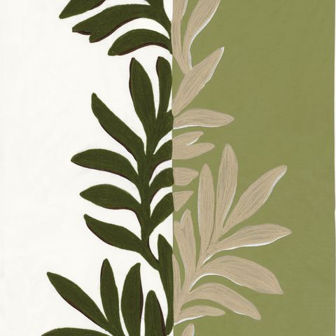 Sophora Blanc/Olive