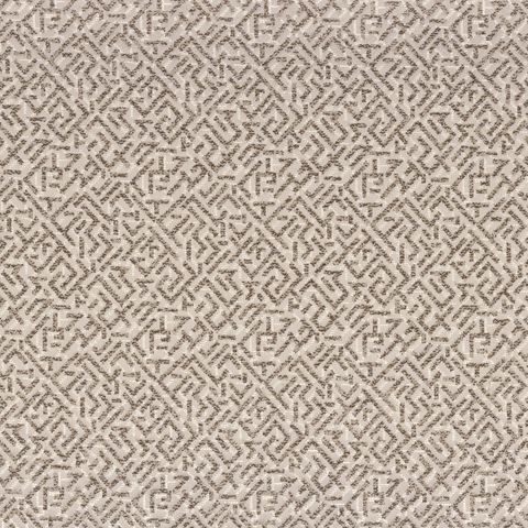 Trait Dunion Raw Silk Upholstery Fabric