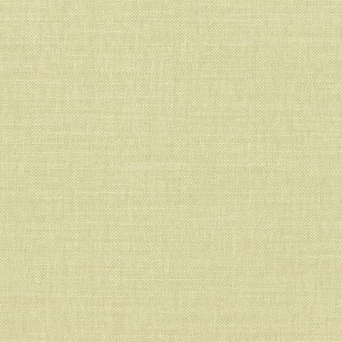 Paris Texas Lichen Clair