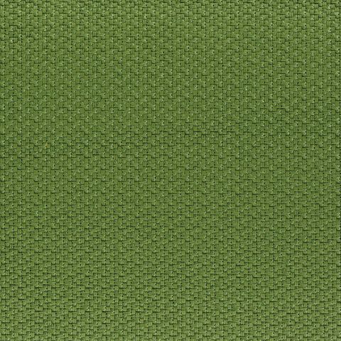 Ziro Vert Upholstery Fabric