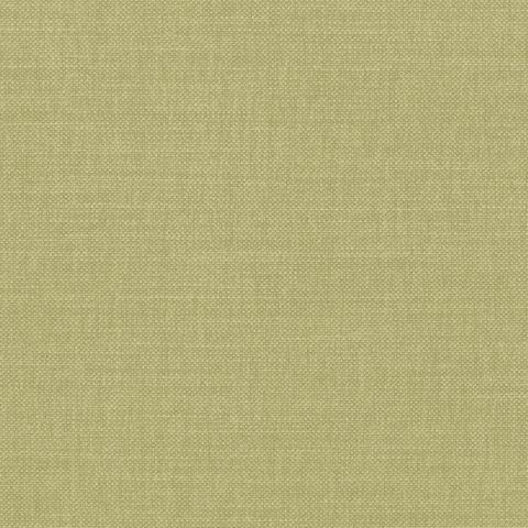 Paris Texas Pistache 2