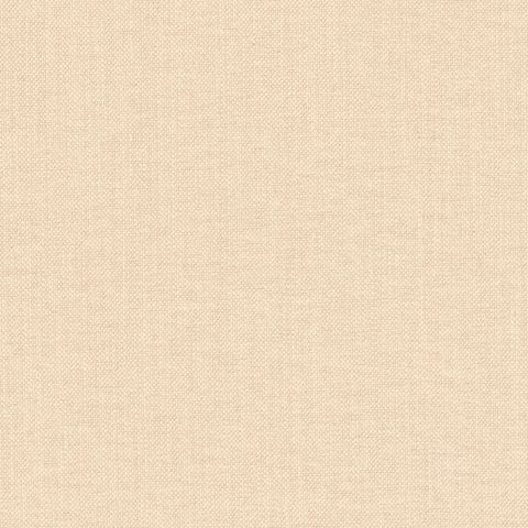 Paris Texas Beige Pink Upholstery Fabric