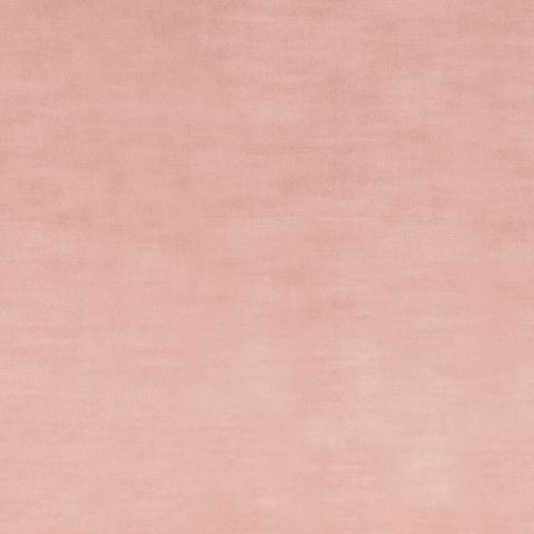 Oscar Powder Pink