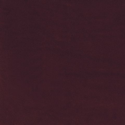 Dolce Vita Hortensia