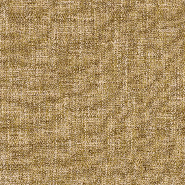 Casamance Refuge Reminiscences Mustard