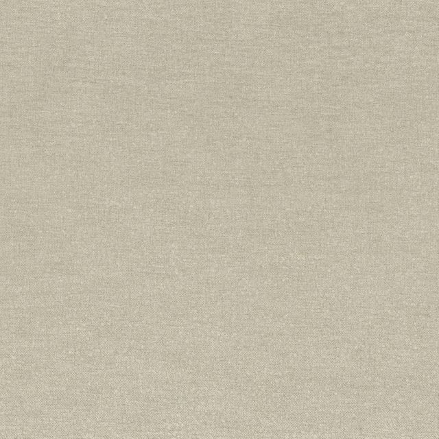 Casamance Fantasia Fantasia Raw Silk