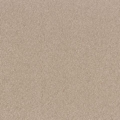 Taiga Beige