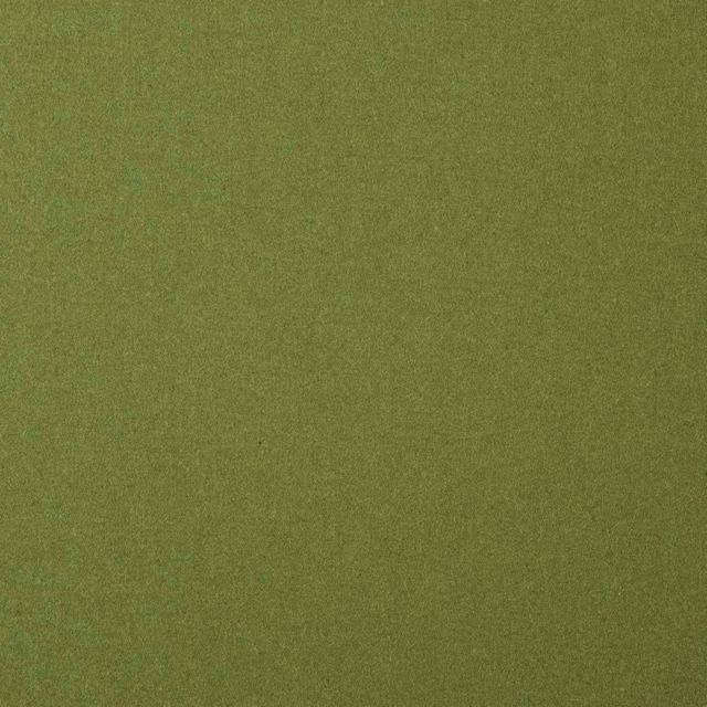 Casamance Edinburgh 4 Arthurs Seat Garden Peas