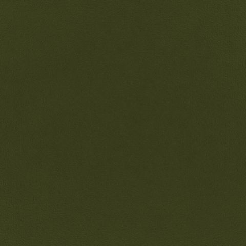 Eco Velvet Vine Upholstery Fabric