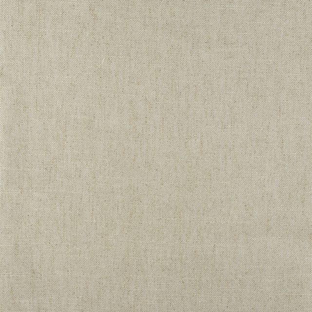 Warwick Husk Husk Platinum