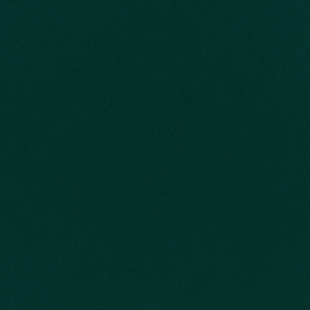 Warwick Eco Velvet Eco Velvet Kingfisher