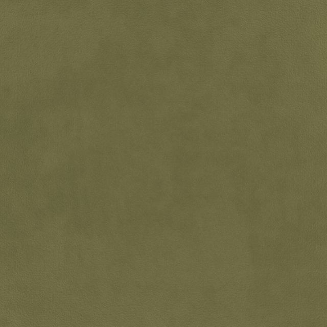 Warwick Eco Velvet Eco Velvet Olive
