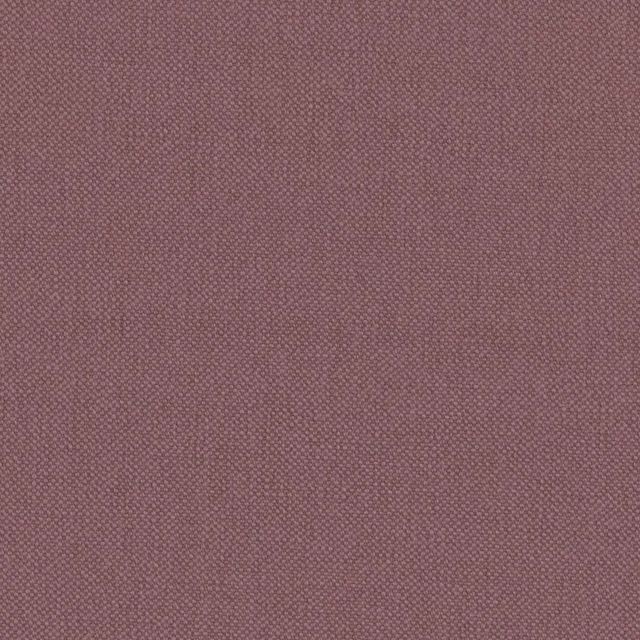Warwick Oxford Oxford Hyacinth