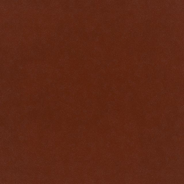 Warwick Plush Velvet III Plush Umber