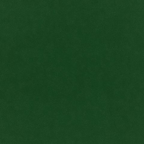 Plush Evergreen Upholstery Fabric