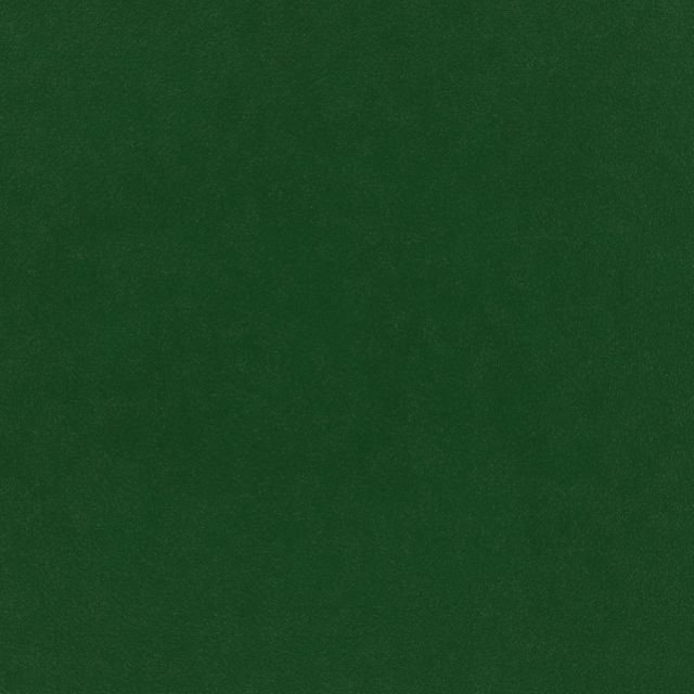 Warwick Plush Velvet III Plush Evergreen