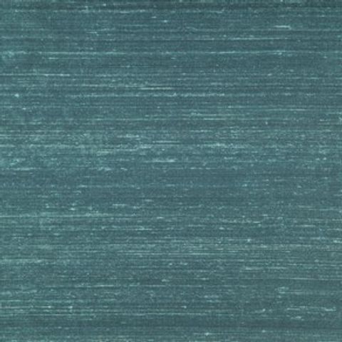 Komodo Silk Kingfisher