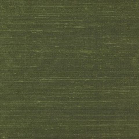 Komodo Silk Olive