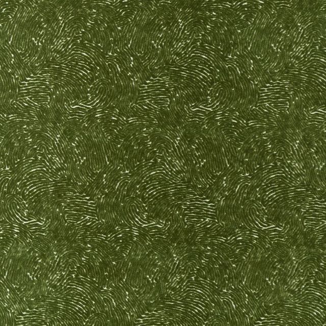 Harlequin Harlequin X Henry Holland Bonseki Matcha Upholstery Fabric