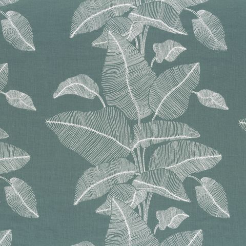 Botanique Cam Petrole