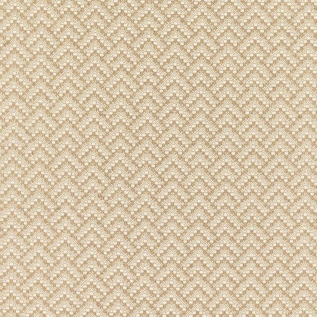 Romo Arturo Ortico Tawny