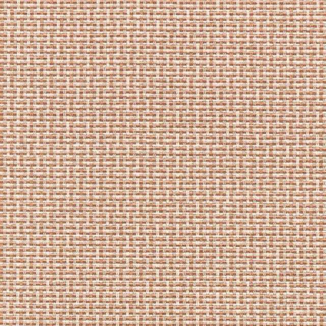 Romo Arturo Kiku Cinnamon