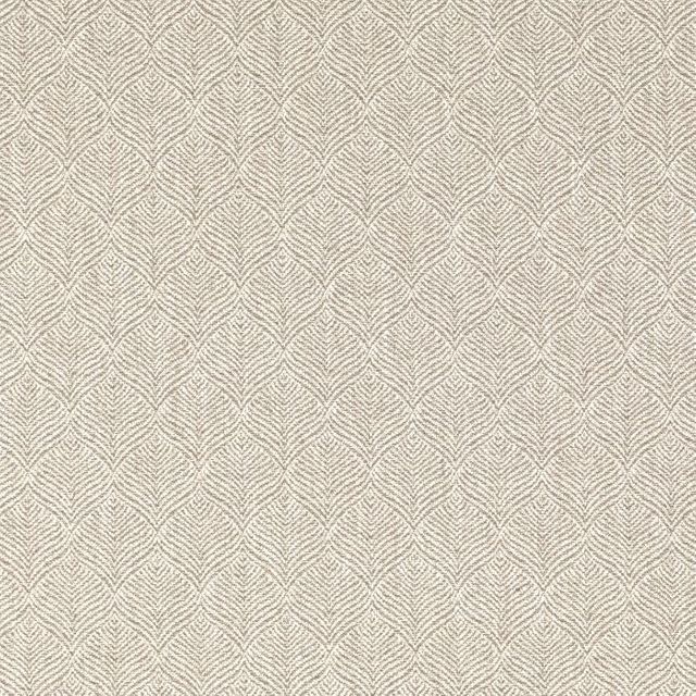 Romo Arturo Odin Marl