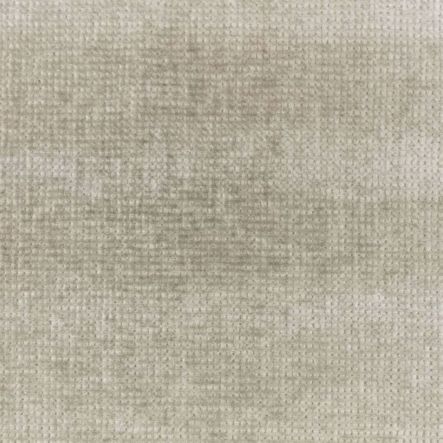 Zinc Textiles Superstars Dallesandro Spacedust
