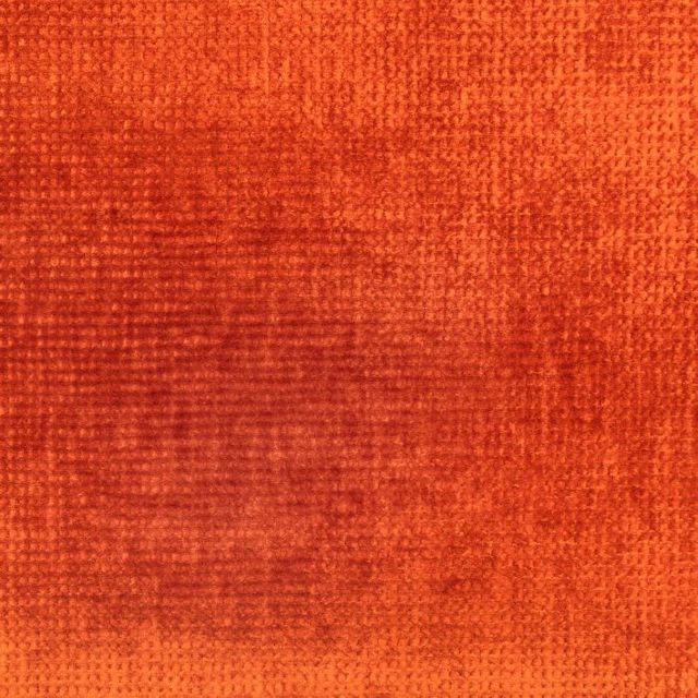 Zinc Textiles Superstars Dallesandro Ember