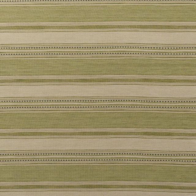 Andrew Martin Goat Las Salinas 7