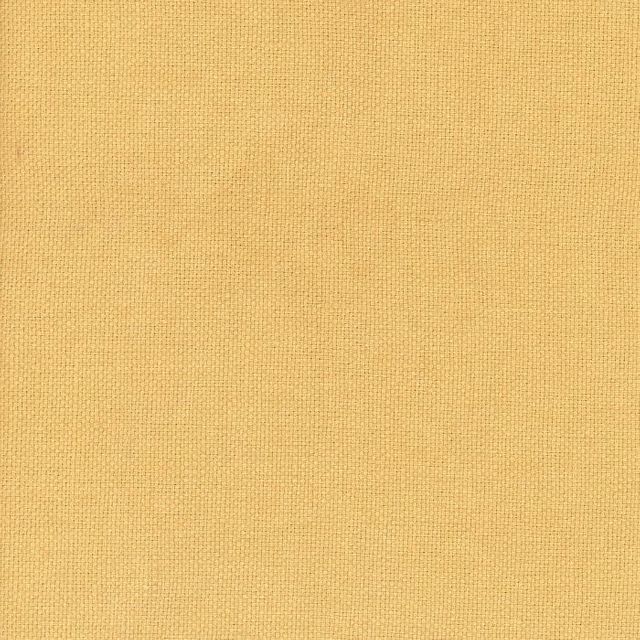 Andrew Martin Beagle Beagle Acacia