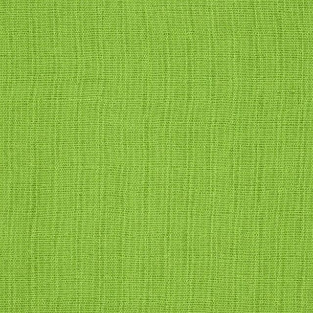 Designers Guild Brera Lino IV Fabrics Brera Lino Grass