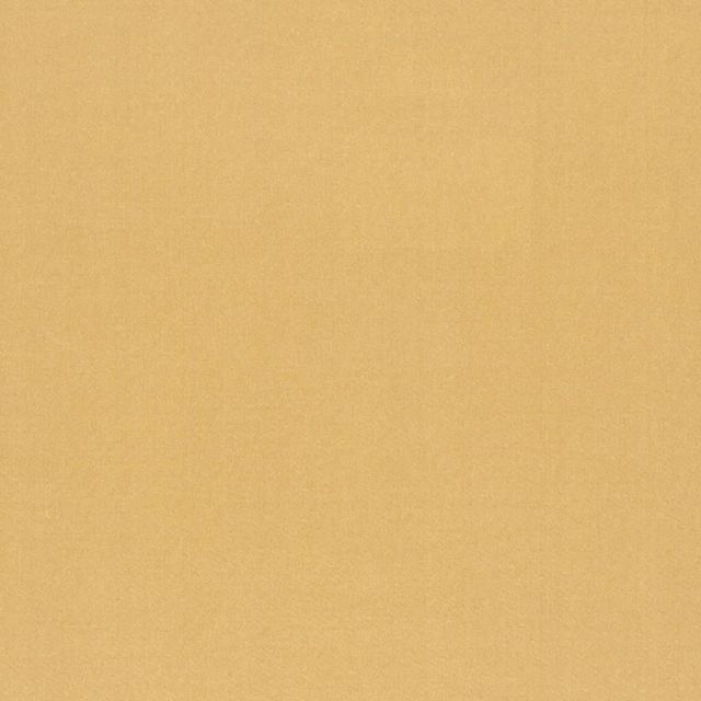 Designers Guild Tiber III Fabrics Tiber Topaz