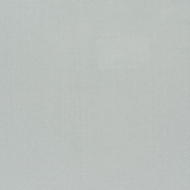 Designers Guild Tiber III Fabrics Tiber Platinum